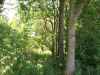 Map or photo for Pike County, Missouri hunting lease property.