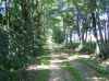 Map or photo for Dane County, Wisconsin hunting lease property.