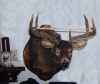 Map or photo for Dane County, Wisconsin hunting lease property.