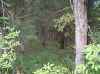Adams County hunting property.