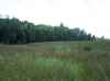 Ohio gun hunting.