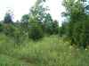 Southwest Ohio hunting land
