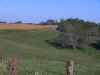 Iowa Hunting Land
