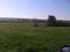 Hunting leases in Iowa