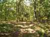 Map or photo for Morgan County, Missouri hunting lease property.