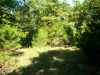 Map or photo for Morgan County, Missouri hunting lease property.
