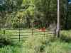 Map or photo for Morgan County, Missouri hunting lease property.
