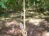 Map or photo for Morgan County, Missouri hunting lease property.
