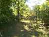 Map or photo for Morgan County, Missouri hunting lease property.