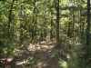 Map or photo for Morgan County, Missouri hunting lease property.