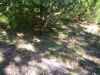 Map or photo for Morgan County, Missouri hunting lease property.