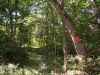 Map or photo for Morgan County, Missouri hunting lease property.
