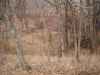 Map or photo for Coffey County, Kansas hunting lease property.