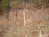 Map or photo for Coffey County, Kansas hunting lease property.