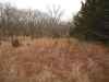 Map or photo for Coffey County, Kansas hunting lease property.