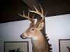 Map or photo for Ste. Genevieve County, Missouri hunting lease property.