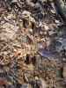 Map or photo for Ste. Genevieve County, Missouri hunting lease property.