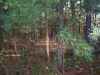 Map or photo for Ste. Genevieve County, Missouri hunting lease property.