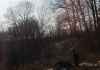 Bow Hunt Wisconsin Land 
