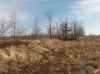 Lease Hunting land in Chippewa County