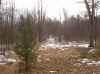 Map or photo for Chippewa County, Wisconsin hunting lease property.