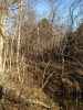 Map or photo for Massac County, Illinois hunting lease property.