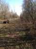 Map or photo for Massac County, Illinois hunting lease property.