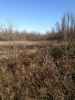 Map or photo for Massac County, Illinois hunting lease property.