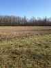 Map or photo for Massac County, Illinois hunting lease property.