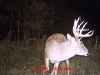 Map or photo for Fayette County, Illinois hunting lease property.