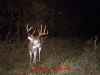Map or photo for Fayette County, Illinois hunting lease property.