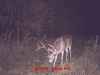 Map or photo for Fayette County, Illinois hunting lease property.