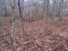 Map or photo for Fayette County, Illinois hunting lease property.