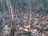 Map or photo for Fayette County, Illinois hunting lease property.