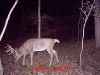 Map or photo for Fayette County, Illinois hunting lease property.