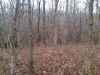 Map or photo for Fayette County, Illinois hunting lease property.