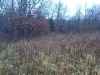 Map or photo for Fayette County, Illinois hunting lease property.