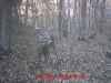 Map or photo for Fayette County, Illinois hunting lease property.
