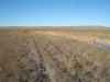 Map or photo for Perkins County, South Dakota hunting lease property.