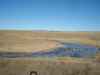 Map or photo for Perkins County, South Dakota hunting lease property.