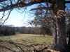 Map or photo for Crawford County, Missouri hunting lease property.