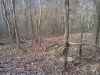 Map or photo for Giles County, Virginia hunting lease property.