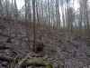 Map or photo for Giles County, Virginia hunting lease property.