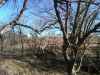 Map or photo for Morris County, Kansas hunting lease property.