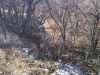 Map or photo for Morris County, Kansas hunting lease property.