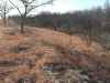 Map or photo for Morris County, Kansas hunting lease property.