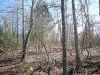 Map or photo for Fulton County, Arkansas hunting lease property.
