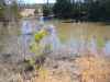 Map or photo for Fulton County, Arkansas hunting lease property.