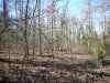 Map or photo for Fulton County, Arkansas hunting lease property.