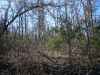 Map or photo for Fulton County, Arkansas hunting lease property.
